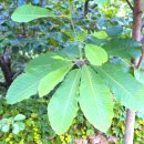 창풍경 - 양산시 중앙우회로 144 | 창풍경