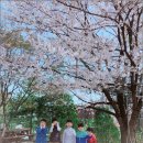 서울유치원 이미지