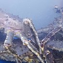 대포횟집 이미지