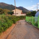 사파동336 이미지