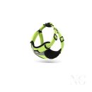 그린애견샵 이미지