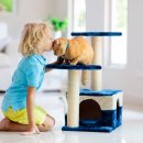 로얄 도그앤캣 메디컬센터 이미지