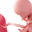 청혈한의원 이미지