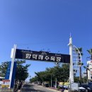 클린환경제주 | 제주 함덕 숙소 추천 : 소노벨 제주 클린형 패밀리룸 숙박 할인 받기