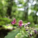 견우와 직녀 이미지