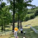 송산목장 네이버블로그