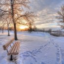 나노그람 이미지