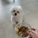 견생맛집 이미지