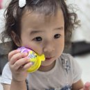 위버조이유치원어린이집 | 스위트조이 시크릿주토피아 초코과자 완구 세트 솔직후기