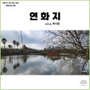 제주도 데이트 산책 코스 애월읍 하가리 연화지(하가못) 겨울 풍경