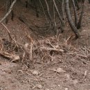 부경에너지 태양광발전소 이미지