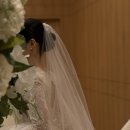 실버벨복지용구 | [251207 실버벨의 Wedding] 아이폰스냅 스푼더무드 후기