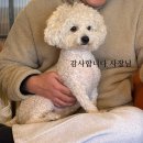 빵마 | 연천카페 추천 장기선마카페 마크림라떼 마빵 솔직 후기