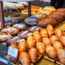 디자인씨씨주