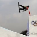 PARROT KOREA 이미지