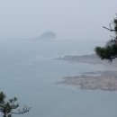 소나무숲속의하얀집