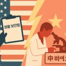 나우씨아이 이미지