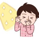 세진카센타 이미지