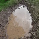 영화로 보는 세계사 이미지