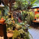 한글게스트하우스 | 치앙마이 숙소 / Hoh Guesthouse 홉게스트하우스 후기