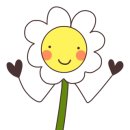 행잉플랜트 공기정화식물체험 이미지