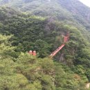 강천산군립공원(현수교) 이미지