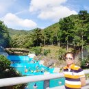 봉동 구수골 계곡 이미지