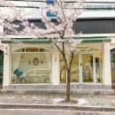 은월로 | 울산 옥동 제니레이어드컷, C컬 수제펌 추천 시월헤어 후기