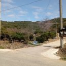 궁산농장 이미지