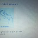 테니스엘보 운동법 이미지