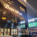 보스캣(BossCat)