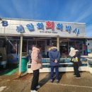 선일회박사