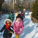 보림유치원 이미지