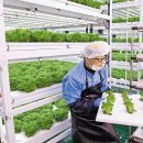 김영근 농장 이미지