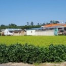 임종헌한의원 이미지