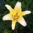 나리민박 이미지