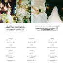 대전 본식스냅 룸504/ROOM504 계약 후기 (짝꿍 구하기 / 추천인 할인코드 / 필름카메라 스냅)