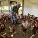 송가축약품 이미지