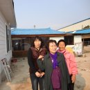 최상택 Daum카페