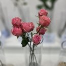 작업소 | 마산 내서 삼계 무인 꽃작업소 꽃 구매 후기