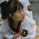 만승태권도장 이미지