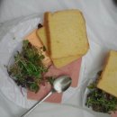 산울음높이어린이집