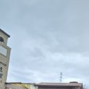 기장체육관 | 2026.02.28 연제구 주짓수대회 in 기장체육관(기장 일광 남도밥상 간장게장정식 후기 + 기장 신세계아울렛)