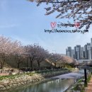 해수천1호 이미지