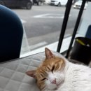 참사랑미용실
