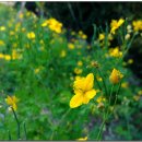 아랫말농장 이미지