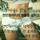 아리점핑체온다이어트