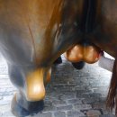 중앙시장(서) 이미지