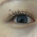 한올강북점 이미지