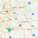 강아지분양 고양이분양 도그마루 무료 검단점 이미지